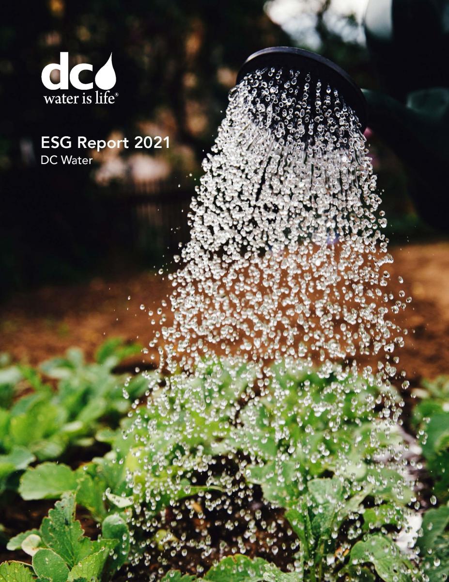 Cover of 2021 ESG Report