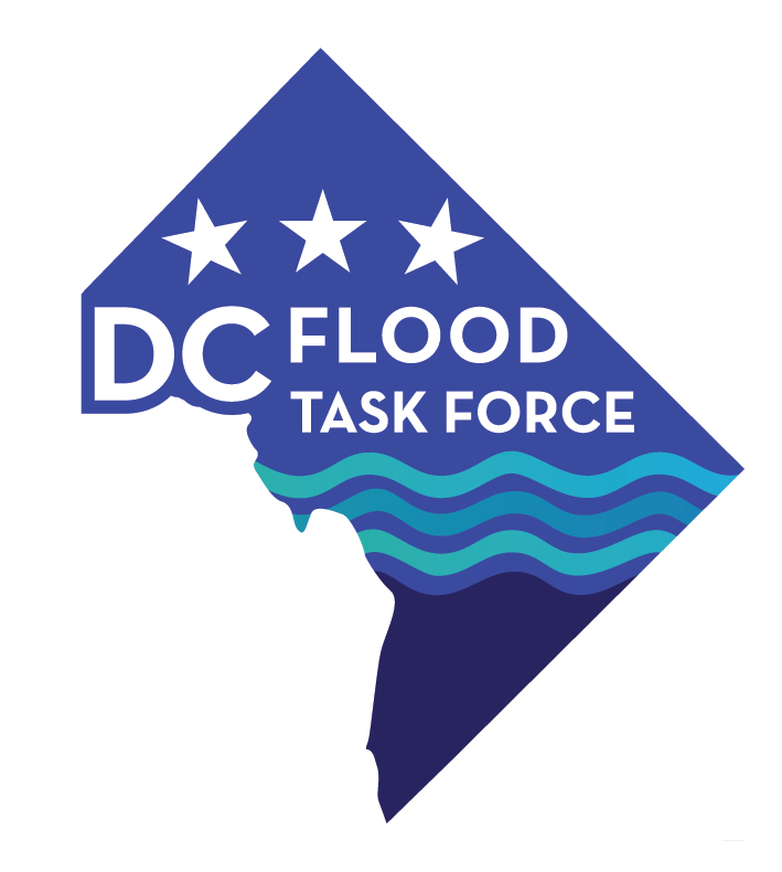 Logo for the DC Flood Task Force