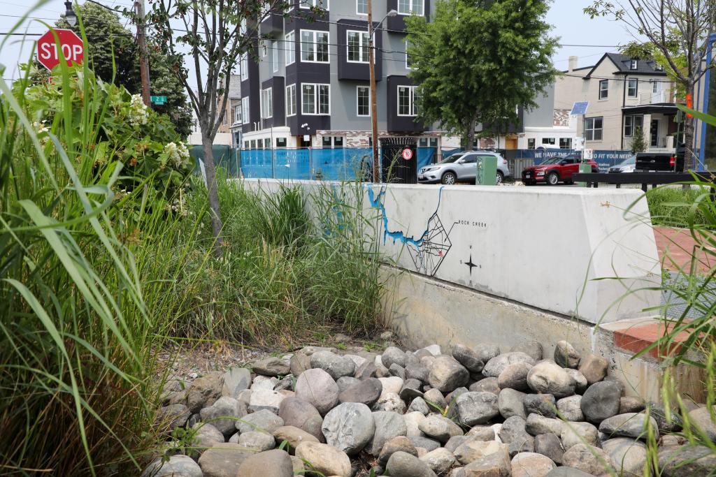 Leveraging Green Infrastructure for the Triple Bottom Line