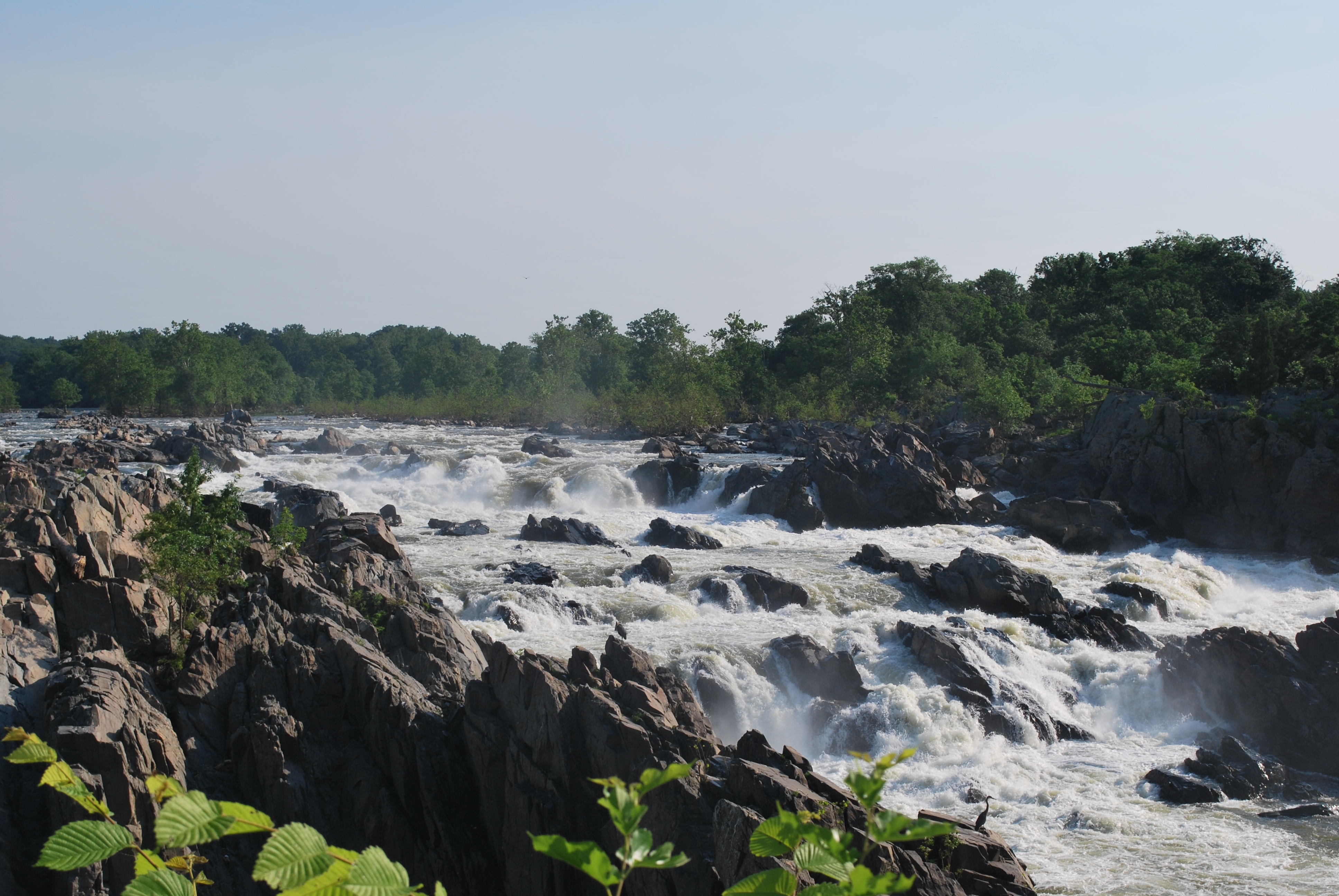 Photo of Great Falls of the Potomac River with fast moving rapids going over the falls