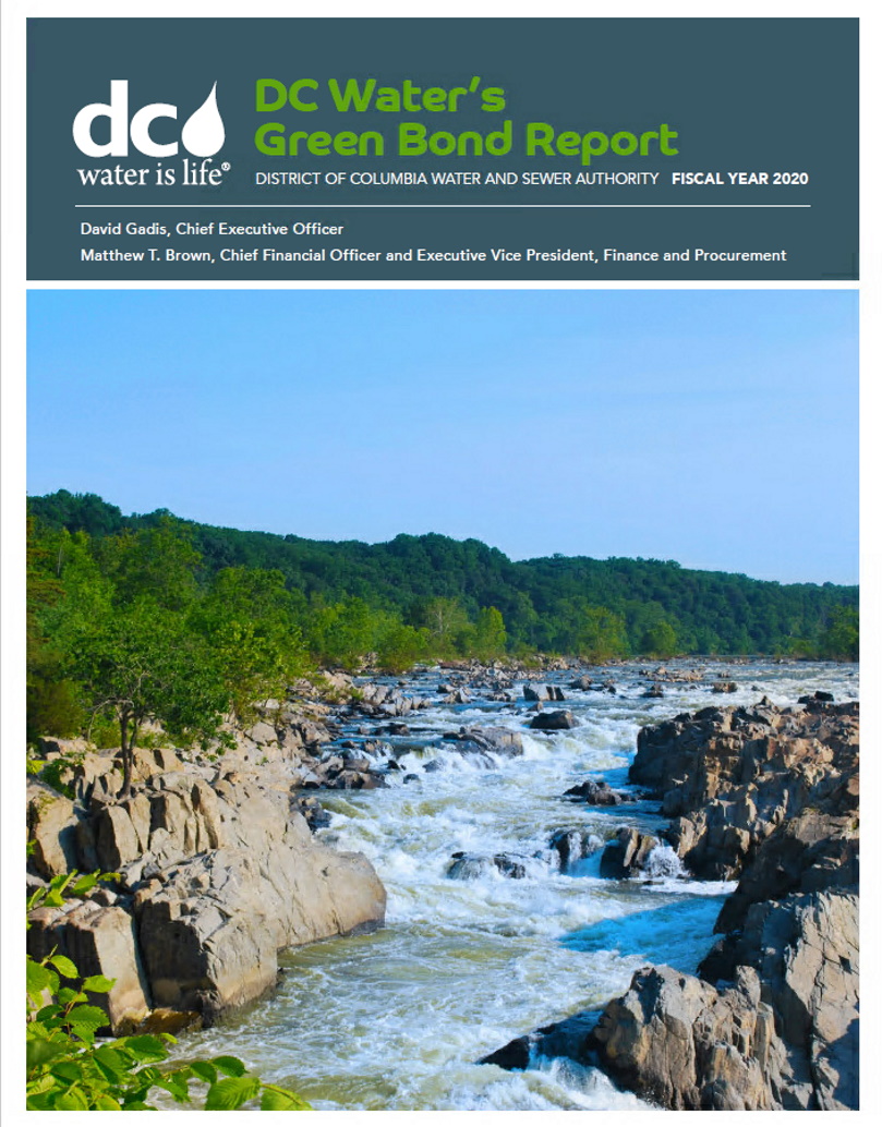 2020 Green Bond PDF