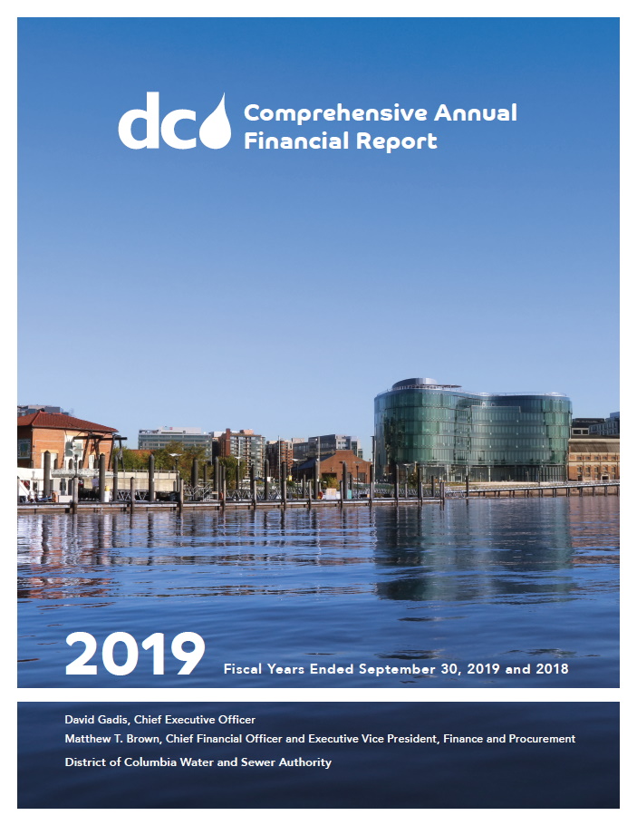 FY 2019 Comprehensive Annual Financial Report