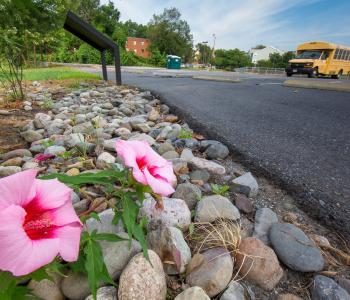 Rain gardens like this help keep toxic runoff from parking lots from entering the river system.