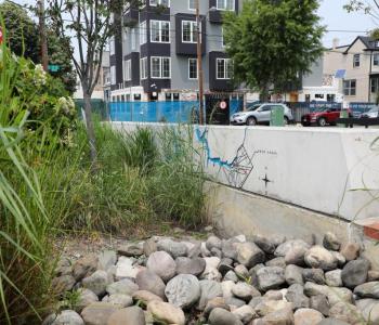 Leveraging Green Infrastructure for the Triple Bottom Line