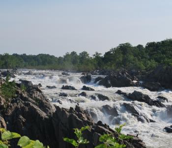 Photo of Great Falls of the Potomac River with fast moving rapids going over the falls