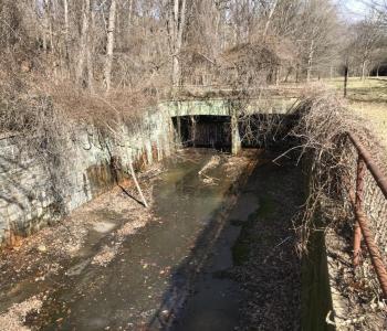 Photo of CSO 049 in Rock Creek Park