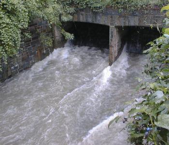 Piney Branch Tunnel Combined Sewer Outflow being discharged