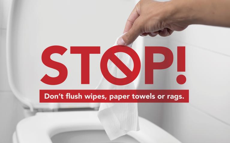 Don't flush wipes image