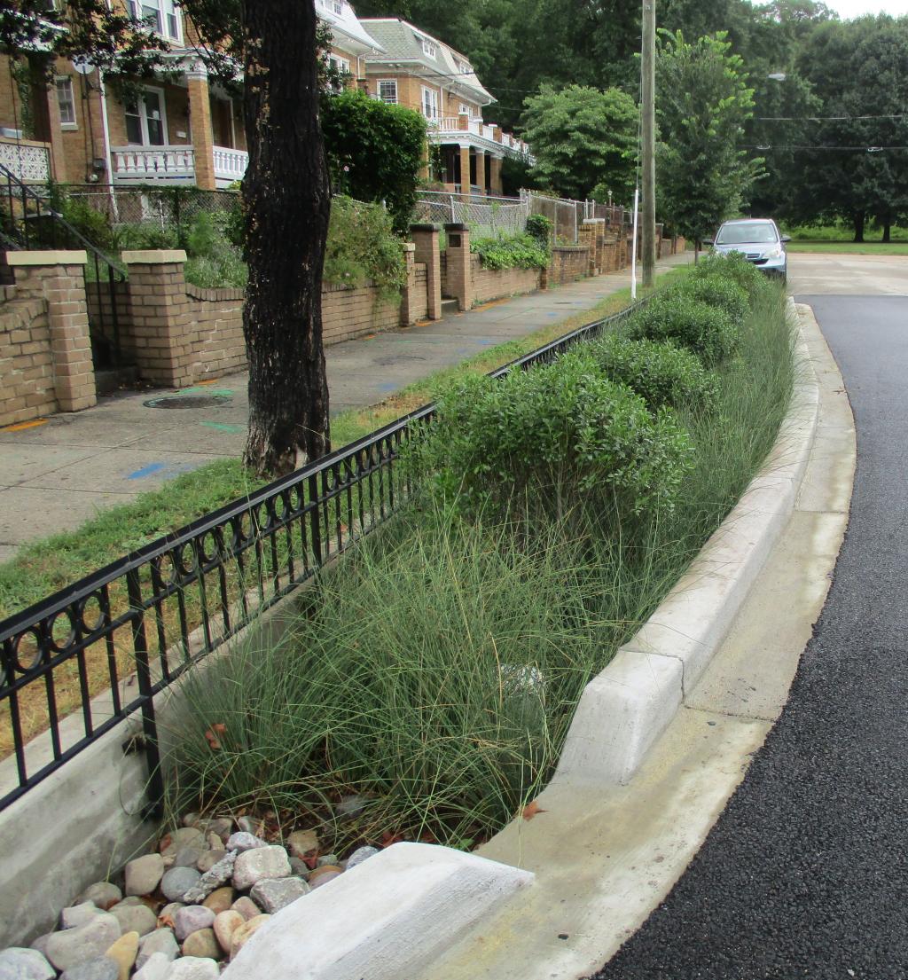 Bioretention Facility