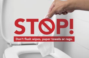 Don't flush wipes image