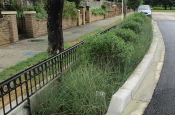 Photo of a green infrastructure installation