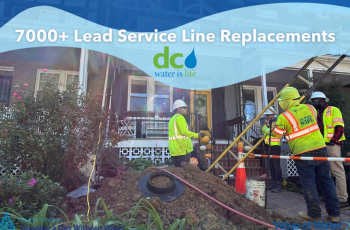 Workers replacing lead service line at a home in Northwest DC