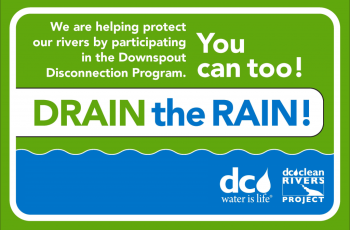 Drain the Rain Website